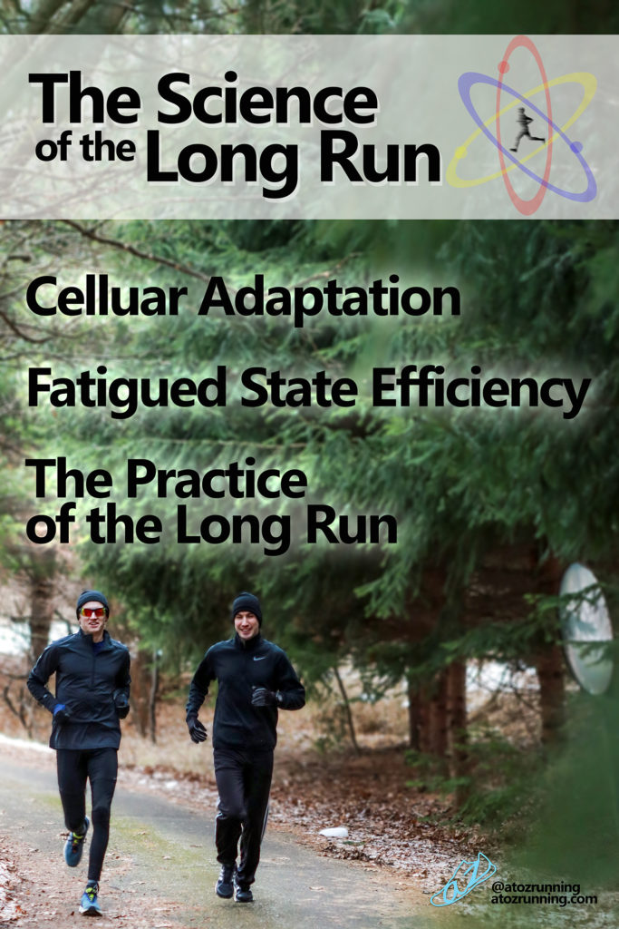 the science of the long run