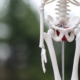Skeleton model with a ballon as an abstracy model for the pelvic floor. Green woods blurry in the background.
