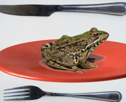 A frog sitting on a red plate. Eat that frog. There is a fork and knife on either side of the green frog.
