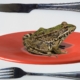 A frog sitting on a red plate. Eat that frog. There is a fork and knife on either side of the green frog.