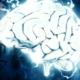 refine the mind. A photo of a brain with lightning around it and silhouettes of a runners surrounding it.